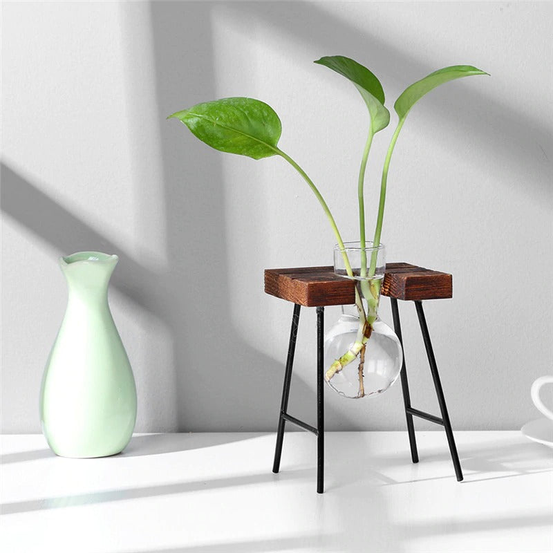 VIENNA | Terrarium / Hydroponic Plant Vase