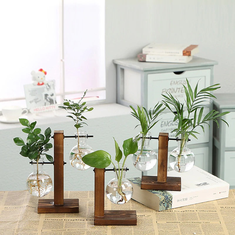 PALMA | Terrarium / Hydroponic Plant Vase